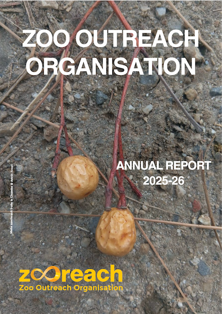 ZooActivityReport2023