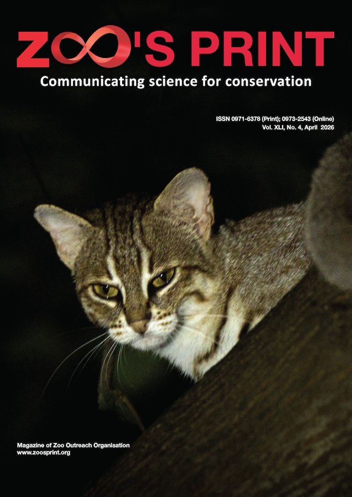 ZPM Vol. 41 No. 4 (2026): April