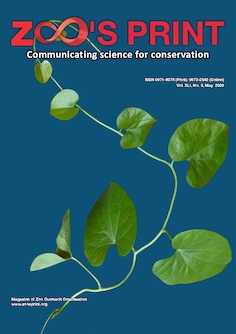 ZPM Vol. 41 No. 5 (2026): May