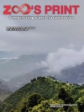 ZPM Vol. 41 No. 9(2026): September